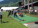 bild (37)